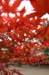 CRW_0110_JFR