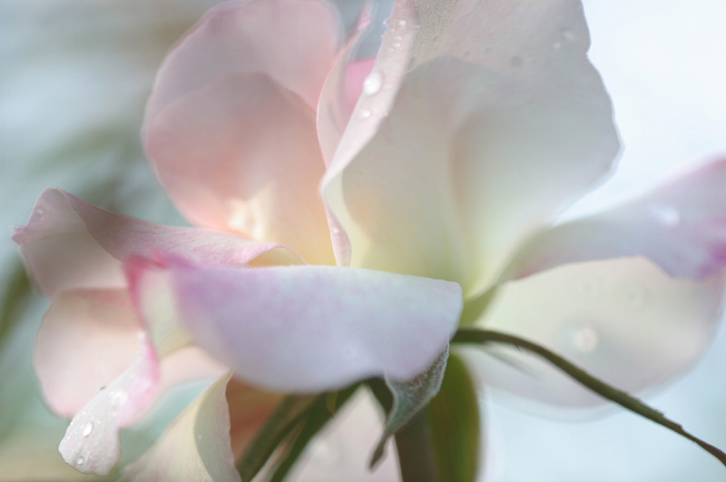 CRW_0060_JFR