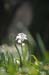 CRW_0089_JFR