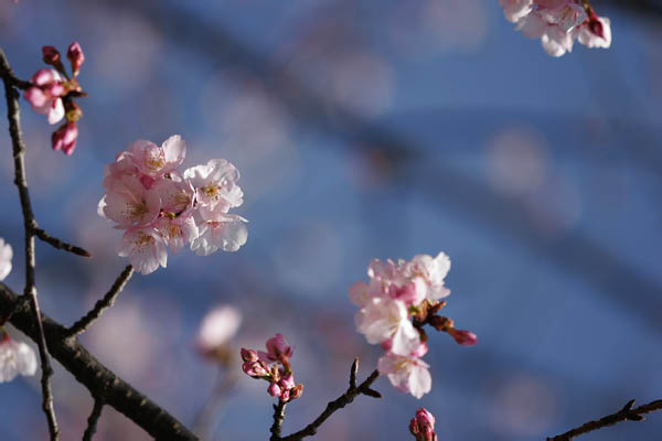 image0020