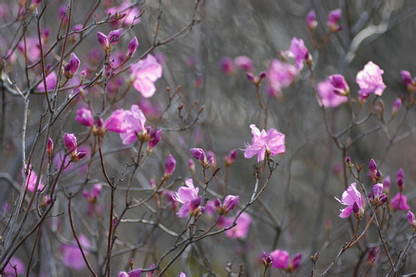 image0021