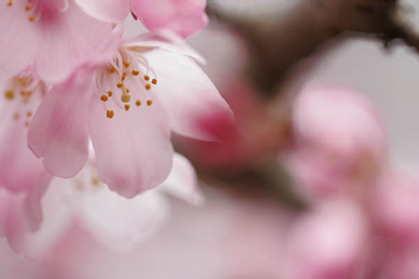 image0006