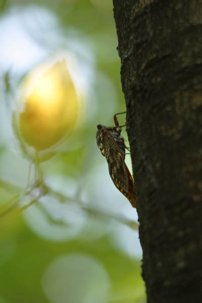 image0019