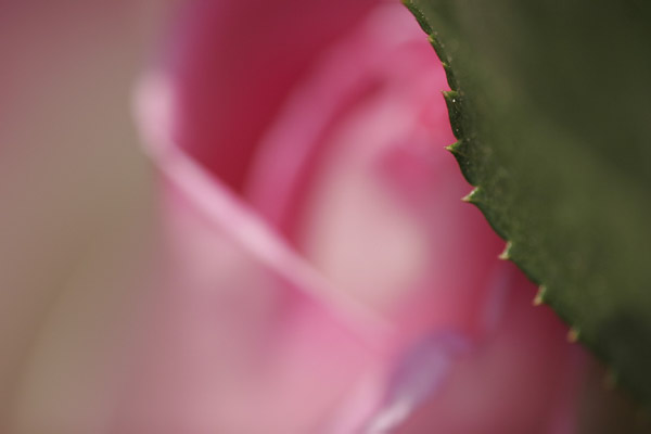 image0026