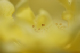 image0034