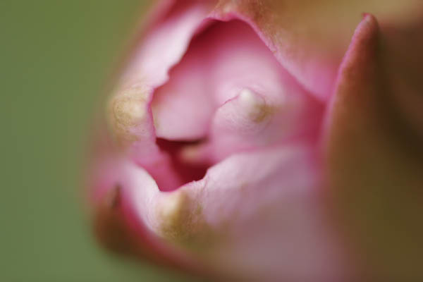 image0003