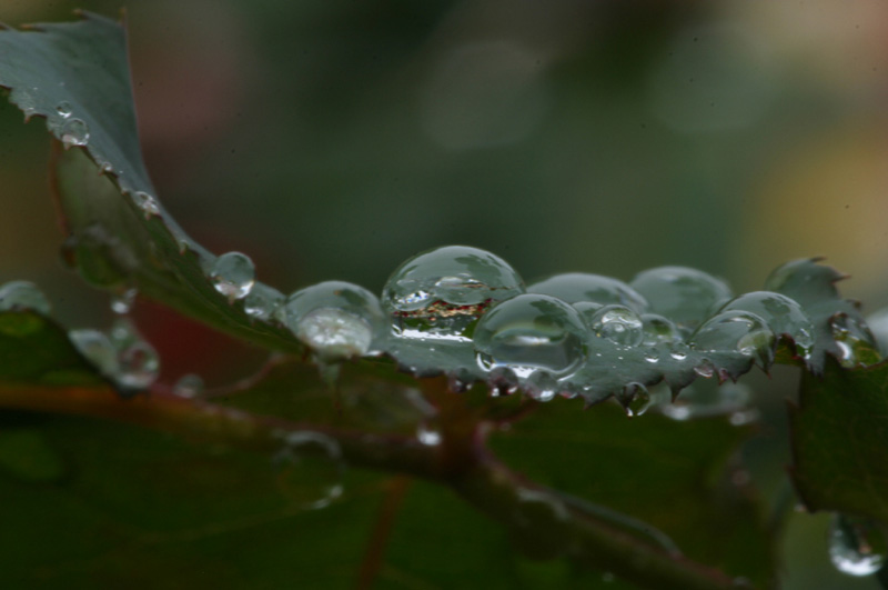 CRW_0023_JFR