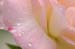 CRW_0067_JFR