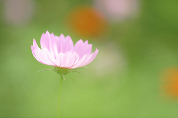 image0004